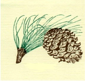 Logo for PONDEROSA BUILDERS INC